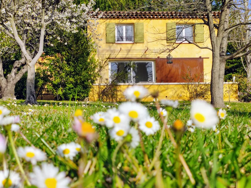 Façade jaune du Mazet derrière les pâquerettes et les arbres en fleurs
